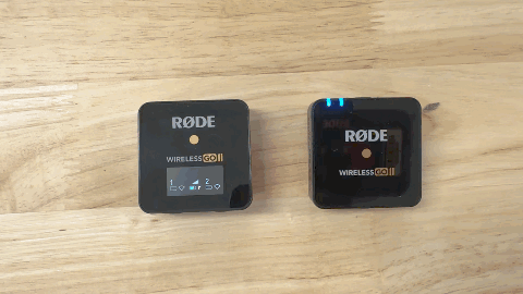 WIGOII Pair2.gif