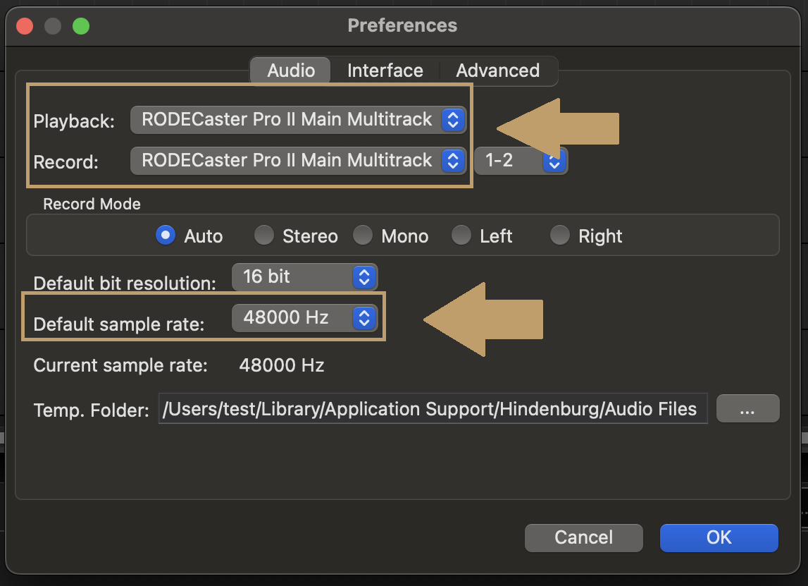 Hindenburg audio settings