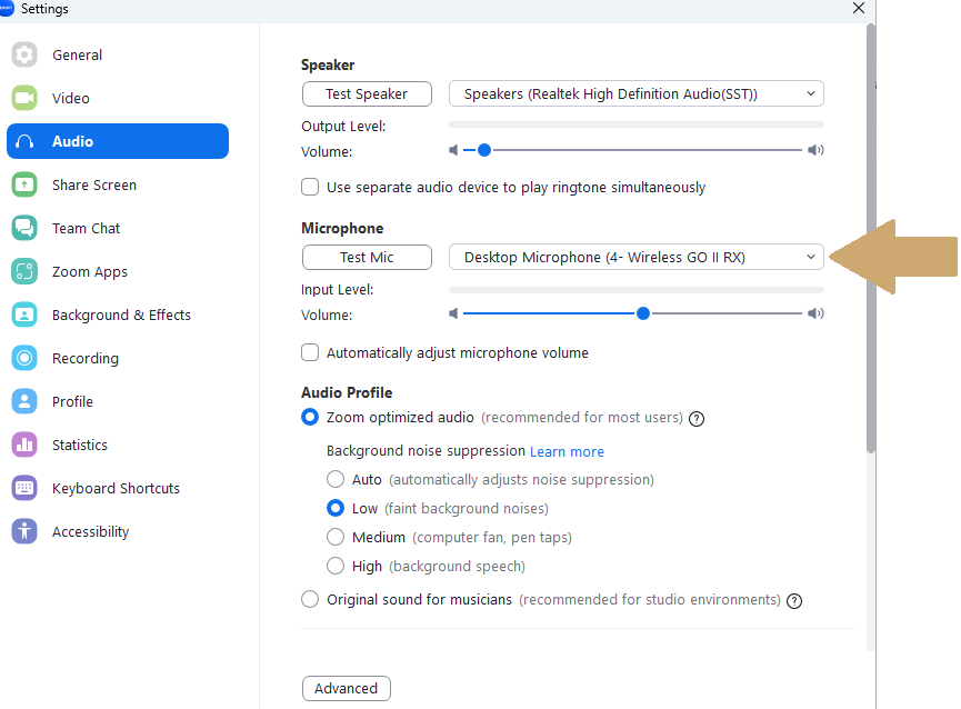 Zoom audio settings
